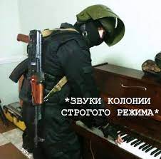 Депутат Милонов предложил запретить в России гороскопы и карты Таро