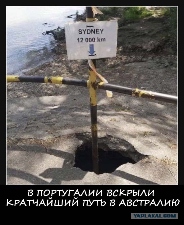 Весёлый полтишок 03.09.23