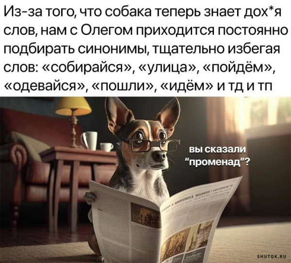 Картинок пост 1.11.2023