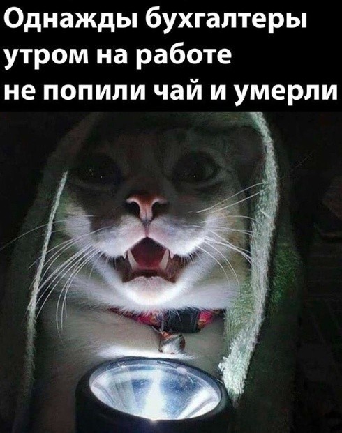 Бояны 7-ми летней выдержки