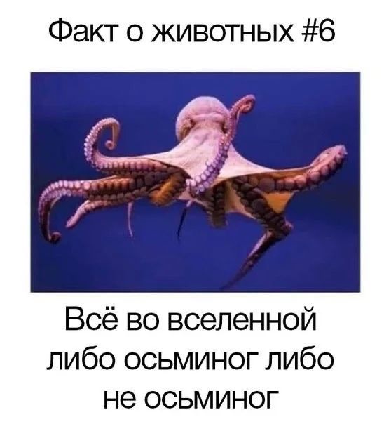 Приколы с налетом деградации