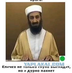 Автодемотиватор на ЯПе