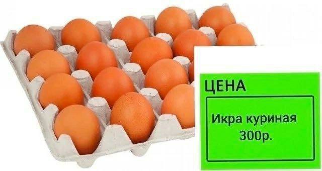 В Россию прибыла первая партия яиц из Турции