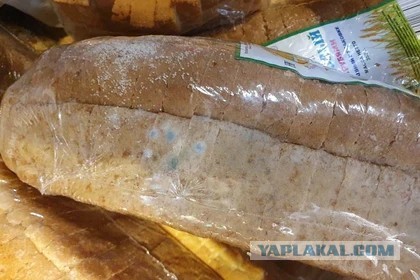 Как вы храните хлеб?