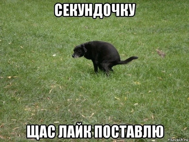 Сирийская девочка