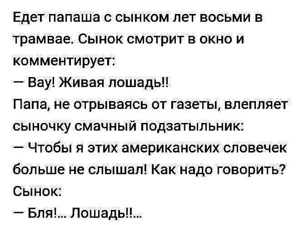 Юмор для тех, кто уже повзрослел и понял, что «готовка» — это разогреть вчерашний суп