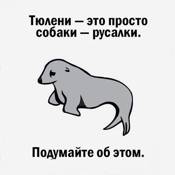 Веселое настроение в картинках (19.07.2025)