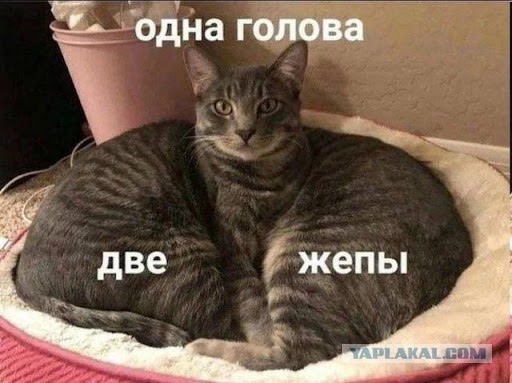 Веселые картинки в маленькую пятницу (23.07)