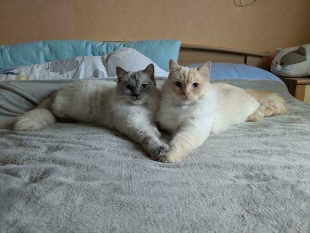 Веселое настроение в картинках 27.07.25