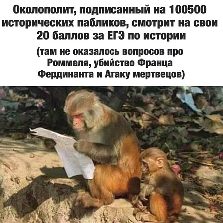 А где Цой?