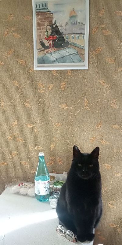 Его первый вторник