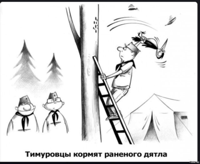Очередная «звезда» кино