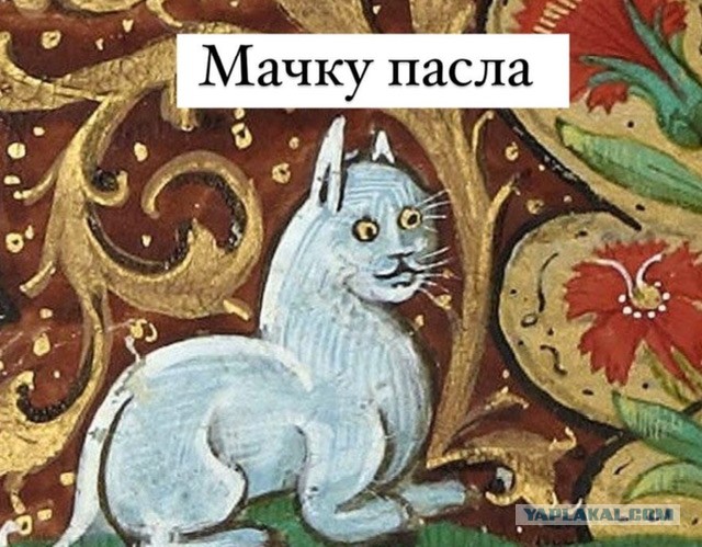 "-Нормально, Григорий? -Отлично, Константин! "