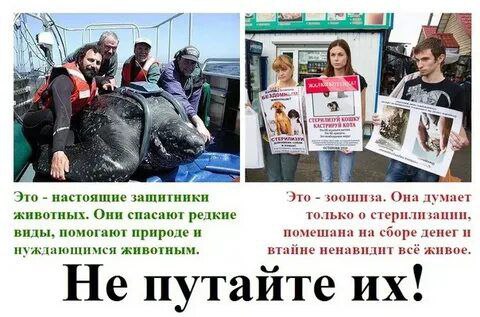 У меня и унты были, и шапка. Тёплые!