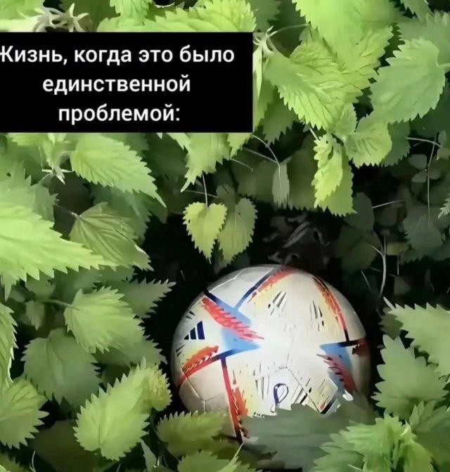 Картинки, веселые и глупые
