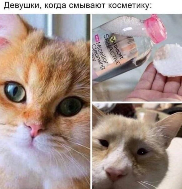 Картиночки, баянчики 10 апреля