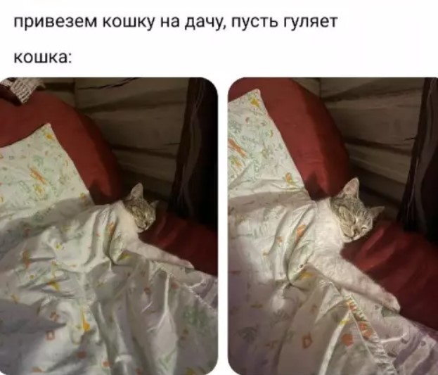 Картиночки, баянчики 29 июня