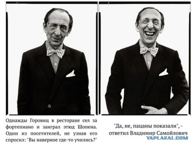 Весь город заставили вот такими хернями