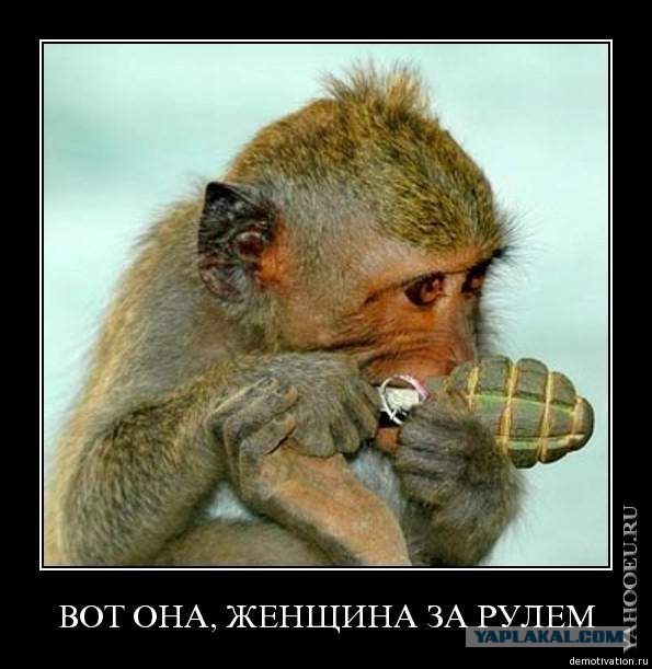 Скрылась с места дтп.