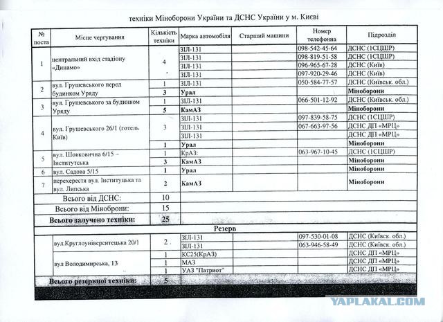 Беркут пошел на штурм