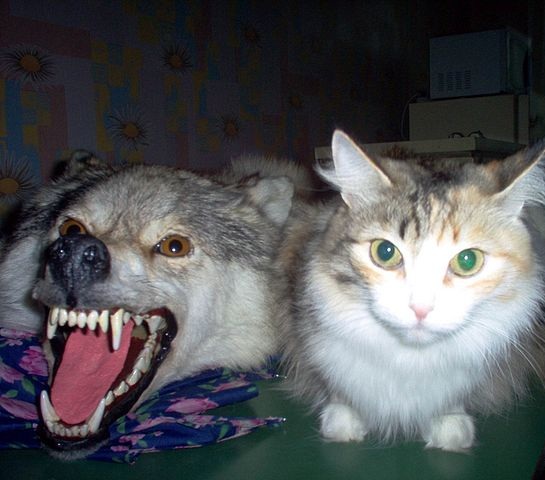 Хрюша и Филя