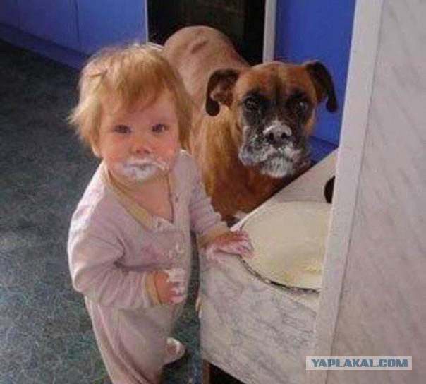 Весёлые картинки. Разбавим будни