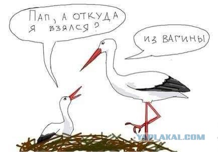 Демотиваторы.