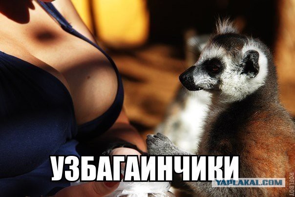Когда вы плюсуeтe тему в платине