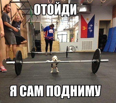 Улыбнуло часть "2"
