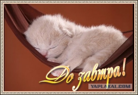 Чёрт, чёрт, чёрт!