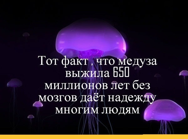Доллар превысил 40 руб