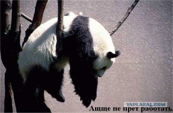 Смешное из сети #2