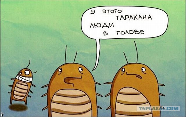 9 картинок из параллельной вселенной