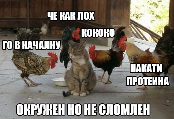 Смешные комментарии из социальных сетей