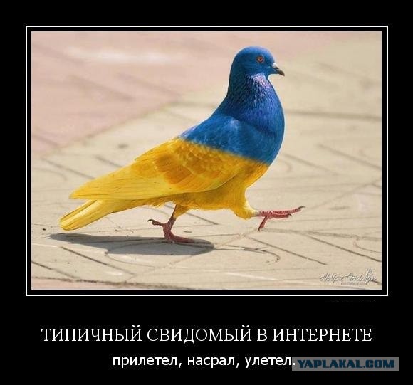 пАрАша в Одессе