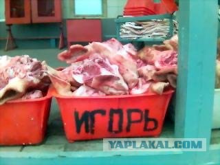 Как организовать срочный розыск человека