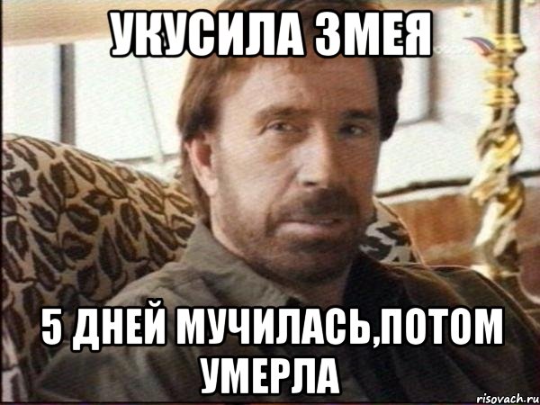 Укус гремучей змеи