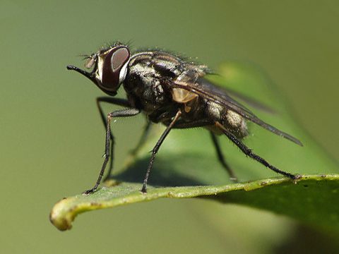 Никто меня не хочет(((