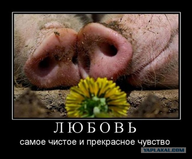А как же любовь?