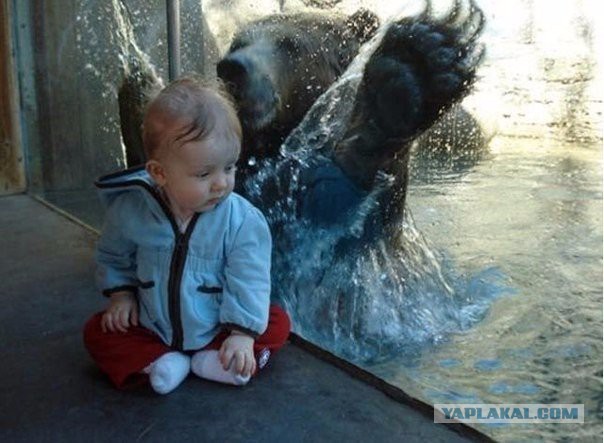 Разные картинки из сети