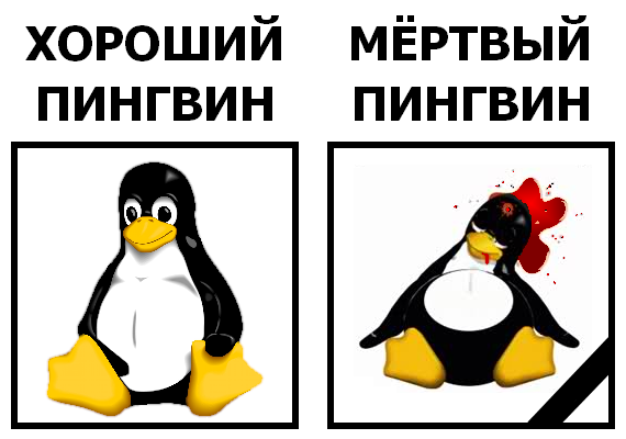 конченый пингвин. конченый пингвин. ковальский шкипер рядовой. пингвины из мадагаскара рико с ножами. конченый пингвин.