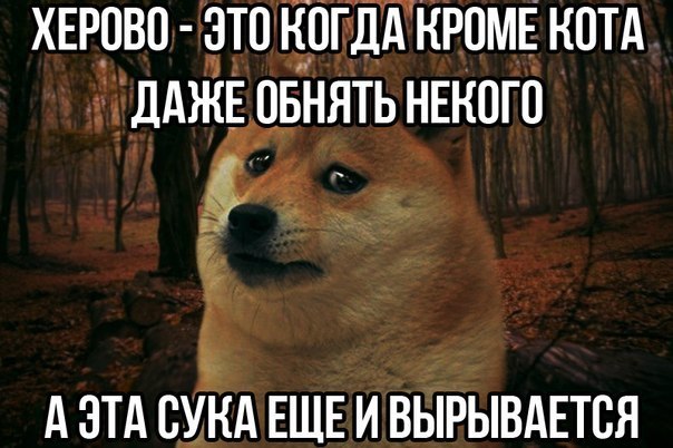Картинки из ваших этих итернетов...