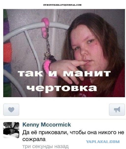 Смешные комментарии 24.04.2016