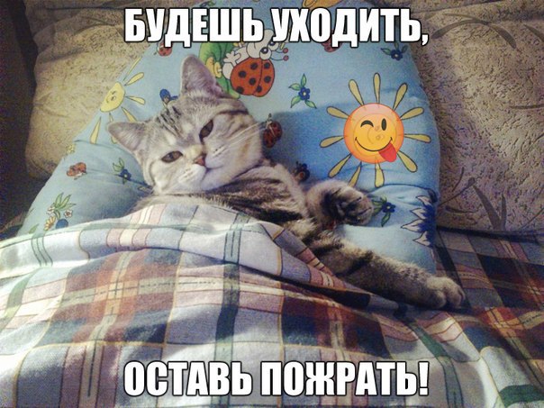 Мохнатые беспредельщики