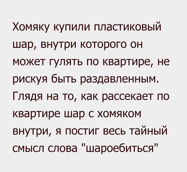 Смешные комментарии 05.06.2016