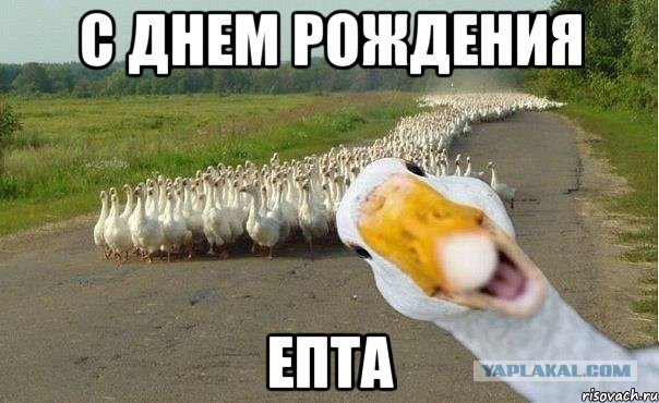 Wargaming 37