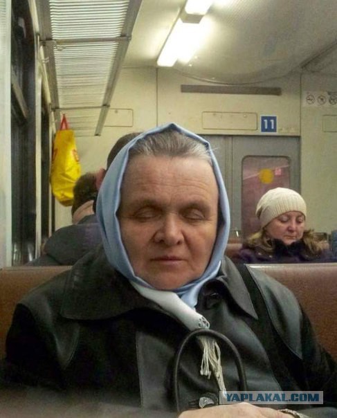 Картинки и приколы из сети, для поднятия настроения=)