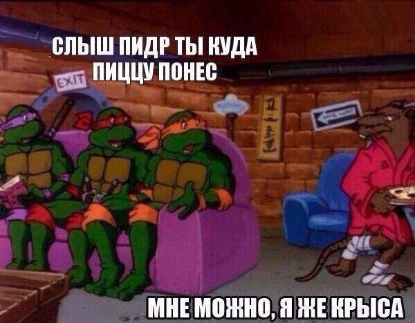 Про крыс