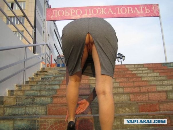 В петербургской гимназии нашли порноактрису