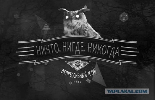Подборка интересных и смешных картинок